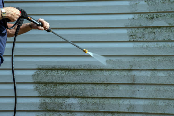 Best Sidewalk and Walkway Cleaning  in Audubon, NJ